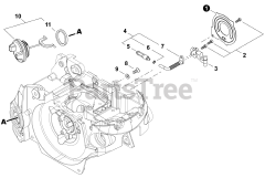 Shindaiwa 491 s - Shindaiwa Chainsaw (SN: C68415001001 - C68415999999)