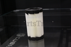 Briggs & Stratton 796031 Air Filter Cartridge - image 4