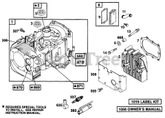 Briggs & Stratton 255707-0120-01 - Briggs & Stratton Vertical Engine