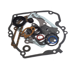 Snapper 494963 Use 496055: Engine Gasket Set - image 4