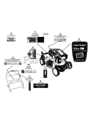 Cub Cadet CC 550 SP (12AE18M3056) - Cub Cadet Walk-Behind Mower (2008) Label Map