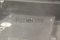 Simplicity 1960666 Screw  Torx Skt Hd  1