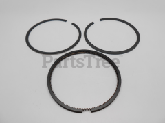 Snapper 391669 Use 499921: Ring  Piston Kit - image 2