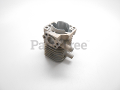 Echo A130001381 Cylinder - image 1