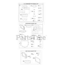 Briggs & Stratton 44R877-0002-G1 - Briggs & Stratton Vertical Engine Engine/Valve Gasket Set, Carburetor Overhaul Kit