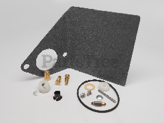 Snapper 497069 Carburetor Overhaul Kit - image 1