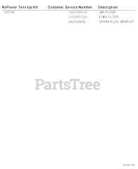 Echo PPF-210 - Echo Pole Saw (SN: E08713001001 - E08713999999) 90074C RePower Tune-Up Kit