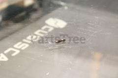 Echo 12313411130 Screw, Idle Adj.