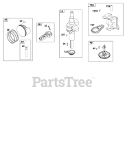 Briggs & Stratton 33R877-0030-B1 - Briggs & Stratton Vertical Engine Crankshaft Group