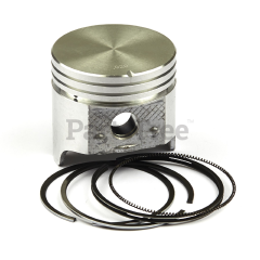 Snapper 390366 Use 792367: Piston Assy-020 - image 1
