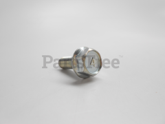 Briggs & Stratton 710234 Screw