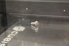 Snapper 7166756 Carriage Bolt, 5/16-18 X 1 - image 5