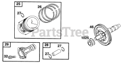 Briggs & Stratton 290447-0375-01 - Briggs & Stratton Horizontal Engine Piston Grp, Cam