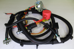 MTD 725P07347A Main Harness (M-Pto/Rmc/Hrmtr)