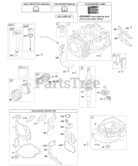 Briggs & Stratton 11C602-0100-E1 - Briggs & Stratton Vertical Engine Camshaft, Crankshaft, Cylinder, Engine Sump, Lubrication, Piston Group