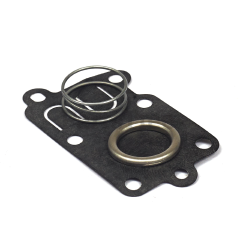 Briggs & Stratton 272538 Carburetor Diaphragm - image 5