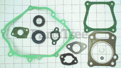 MTD 951-10951A Gasket Kit, Complete