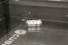 Echo A052000042 Starter Pawl Assembly - image 4
