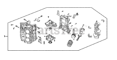 Honda BF200 A4 XA (BAEJ) - Honda Marine Engine, Made in Japan (SN: BAEJ-1200001 - BAEJ-1299999) SHORT BLOCK
