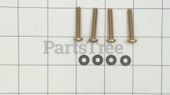 Briggs & Stratton 698516 Screw And Washer Kit