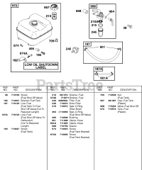 Briggs & Stratton 235437-0284-E1 - Briggs & Stratton Horizontal Engine Fuel Supply