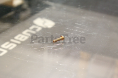 Echo 9157805020 Screw
