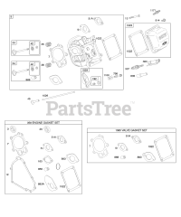 Briggs & Stratton 212415-0115-E1 - Briggs & Stratton Horizontal Engine Cylinder Head, Gasket Set - Engine, Gasket Set - Valve, Valves