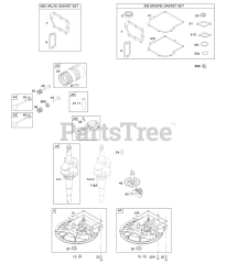 Briggs & Stratton 10T702-0808-E1 - Briggs & Stratton Vertical Engine Camshaft, Crankcase Cover/Sump, Crankshaft, Piston/Rings/Connecting Rod, Gasket Set - Engine, Gasket Set - Valve