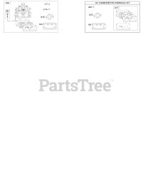 Briggs & Stratton 49G575-0110-E2 - Briggs & Stratton Vertical Engine Carburetor, Kit-Carburetor Overhaul