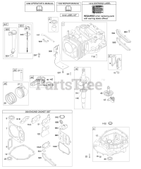 Briggs & Stratton 12J602-0120-E1 - Briggs & Stratton Vertical Engine Camshaft, Crankshaft, Cylinder, Engine Sump, Lubrication, Piston Group