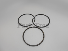 Snapper 394665 Use 499996: Ring  Piston Kit - image 1