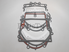 Simplicity 394501 Use 495868: Engine Gasket Set - image 1