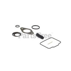 Snapper 555605 Kit-Carb Overhaul - image 1