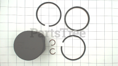 Snapper 299567 Use 499909: Piston/Ring Kit - image 3