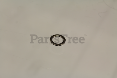 Echo 363018-00310 Washer 12×20×1