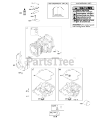 Briggs & Stratton 215907-0125-E1 - Briggs & Stratton Vertical Engine Cylinder, Engine Sump, Operator's Manual, Warning Label