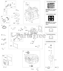 Briggs & Stratton 101602-0111-F8 - Briggs & Stratton Vertical Engine