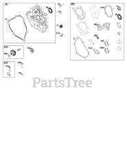 Briggs & Stratton 150202-0231-H8 - Briggs & Stratton Horizontal Engine Crankcase Cover, Sump and Lubrication Group