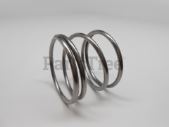 Echo 215414 Spring - image 1
