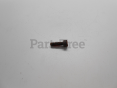 RedMax 603001034 Set Screw, #10-24 Unc-3a, Patc