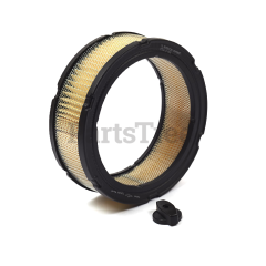 Briggs & Stratton 841359 Air Filter Cartridge - image 1