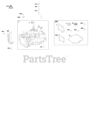 Briggs & Stratton 125P07-0029-F1 - Briggs & Stratton Vertical Engine Cylinder Group