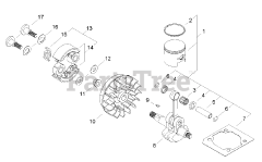 Shindaiwa F 222 - Shindaiwa String Trimmer Piston / Clutch