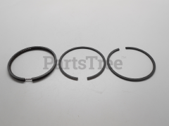 Snapper 496873 Use 399067: Ring  Piston Kit