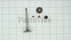 Simplicity 697464 Intake Valve - image 2