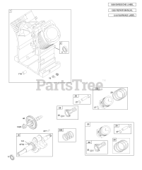 Briggs & Stratton 359447-0002-E1 - Briggs & Stratton Horizontal Engine Cylinder, Camshaft, Crankshaft, Piston, Rings, Connecting Rod