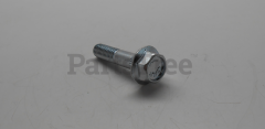 RedMax 581855201 Screw Assembly - image 4