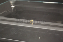 Tecumseh 650831 Screw - image 1