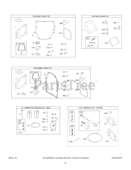 Briggs & Stratton 356777-0110-E1 - Briggs & Stratton Vertical Engine Engine, Carburetor and Valve Gasket Kits