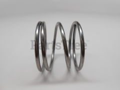 Echo 215414 Spring - image 2